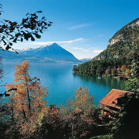 Krebs Hotel Interlaken