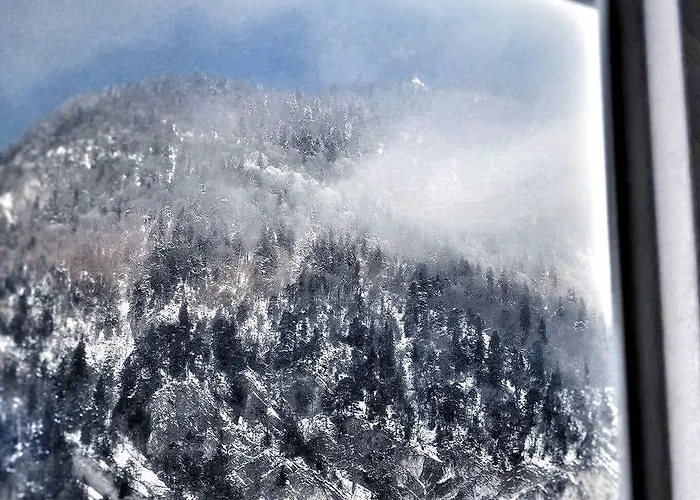 كريبس إنترلاكن